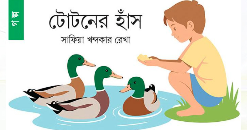 ছবি : খোলা কাগজ