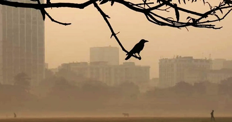 ফাইল ছবি
