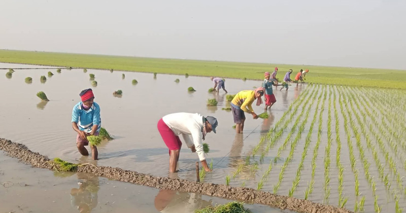 ছবি: প্রতিনিধি