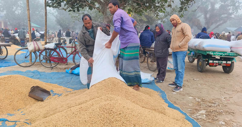 ছবি: প্রতিনিধি