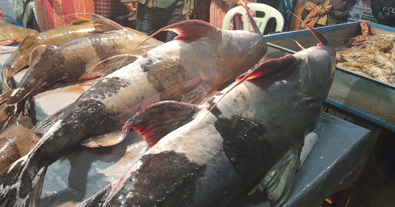 ছবি: প্রতিনিধি