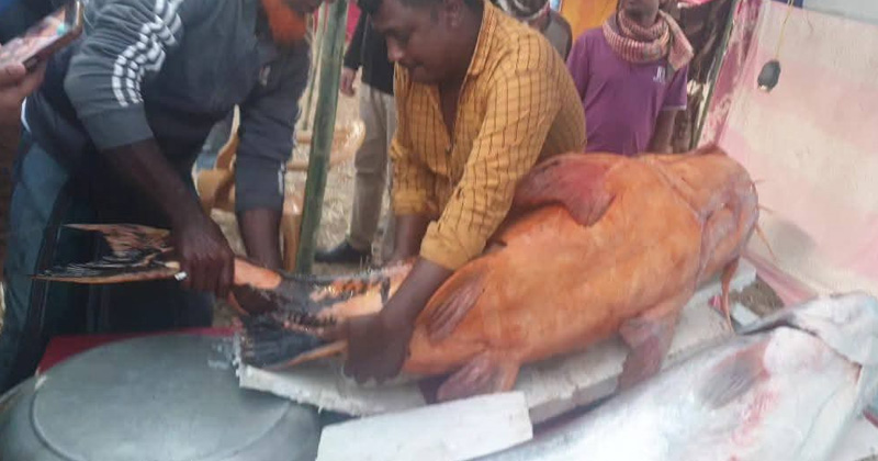 ছবি: প্রতিবেদক