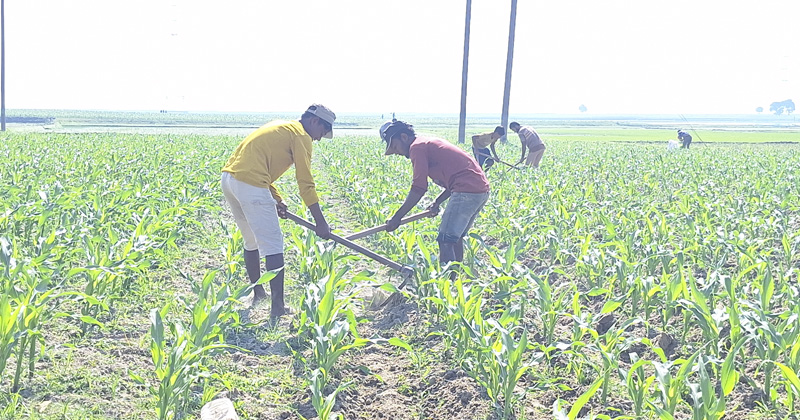 ছবি: প্রতিনিধি
