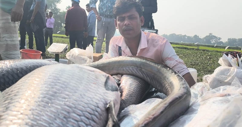 ছবি: প্রতিনিধি