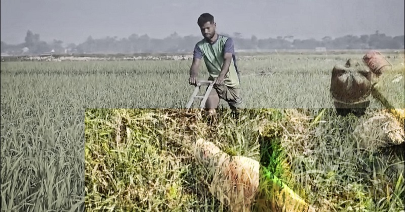 ছবি: প্রতিনিধি