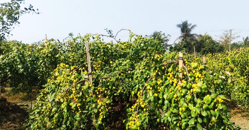 ছবি: প্রতিনিধি