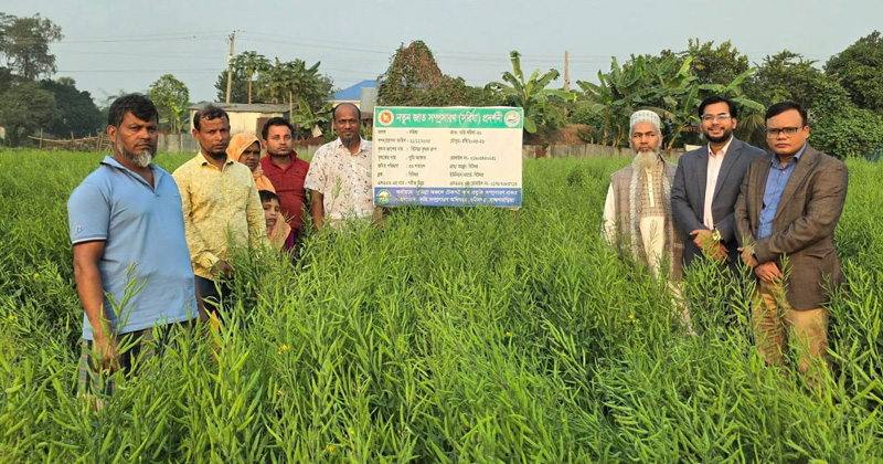 ছবি: প্রতিনিধি