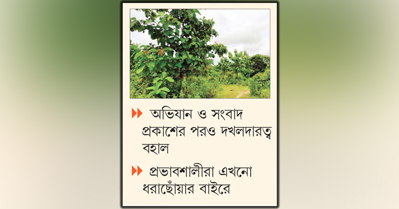 ছবি : খোলা কাগজ