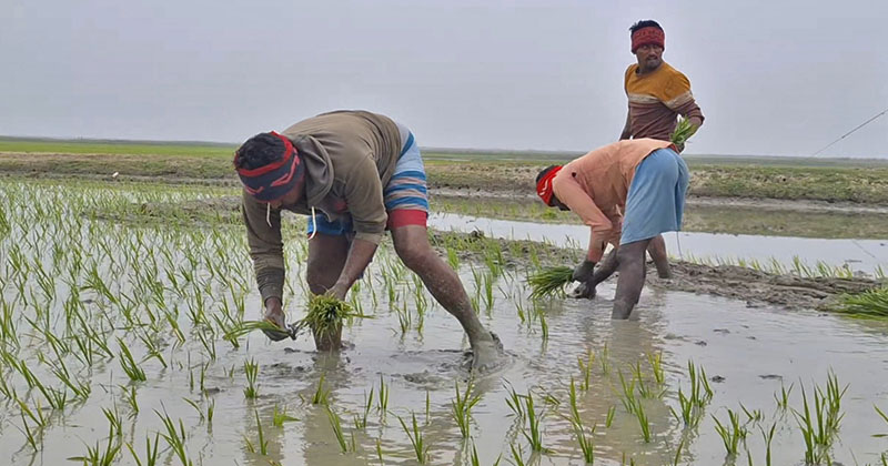 ছবি: প্রতিনিধি