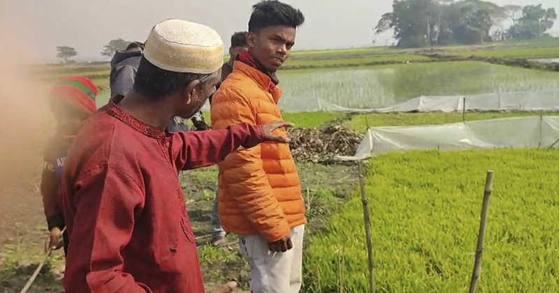কাশিয়ানীতে বিদ্যুৎ স্পৃষ্ট হয়ে দাদি-নাতিসহ তিনজনের মৃত্যু