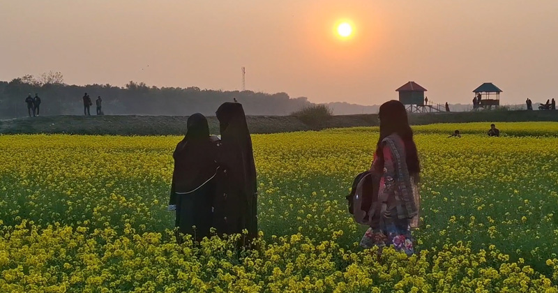 ছবি: প্রতিনিধি