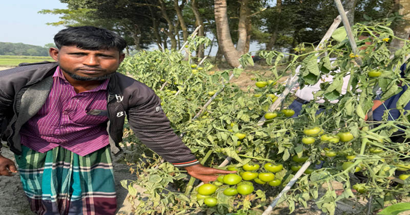 ছবি: প্রতিনিধি
