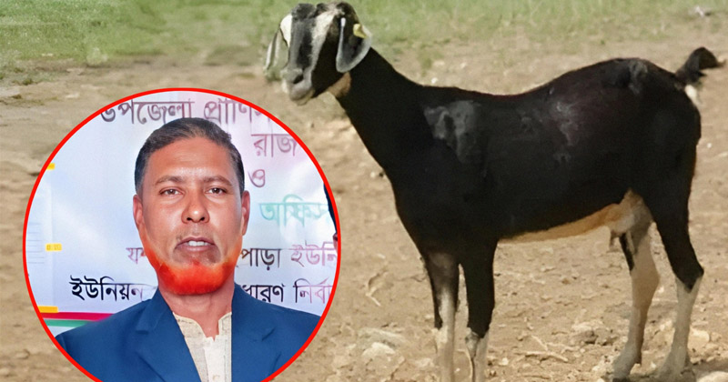 ছবি: প্রতিনিধি
