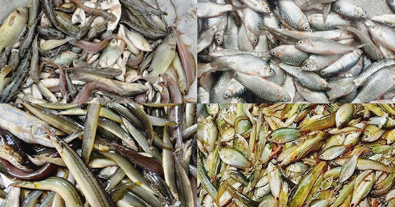ছবি: প্রতিনিধি
