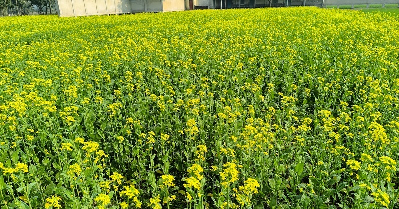 ছবি: প্রতিনিধি