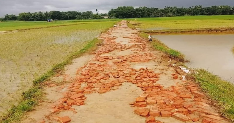 ছবি: প্রতিনিধি