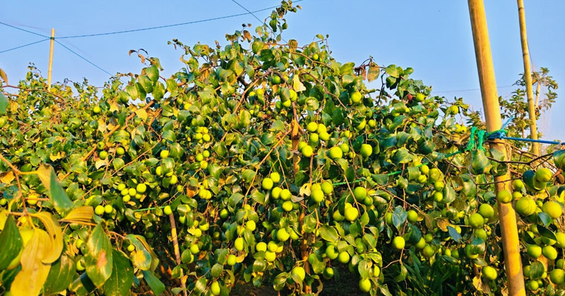 ছবি: প্রতিনিধি