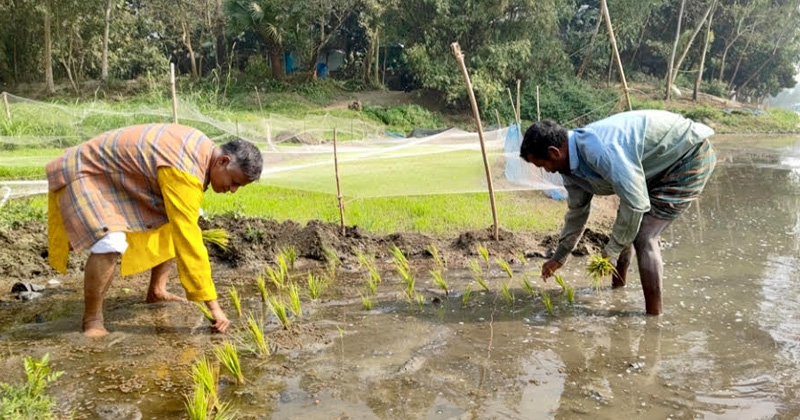 ছবি: প্রতিনিধি