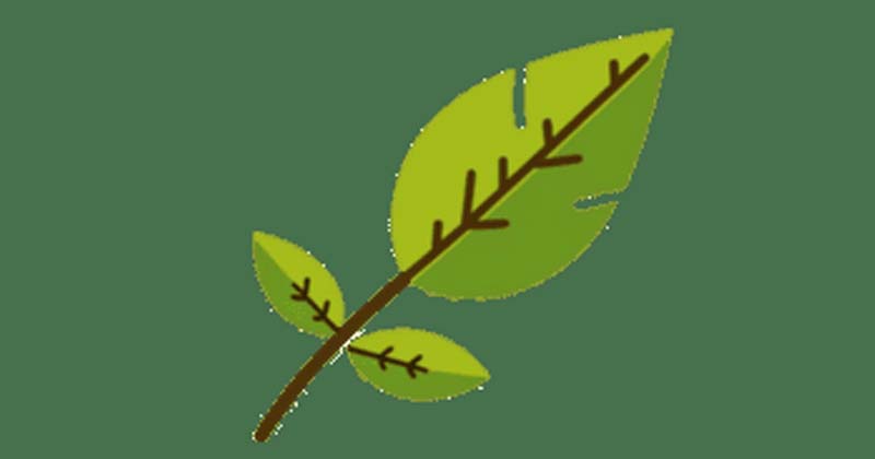 ছবি: খোলা কাগজ