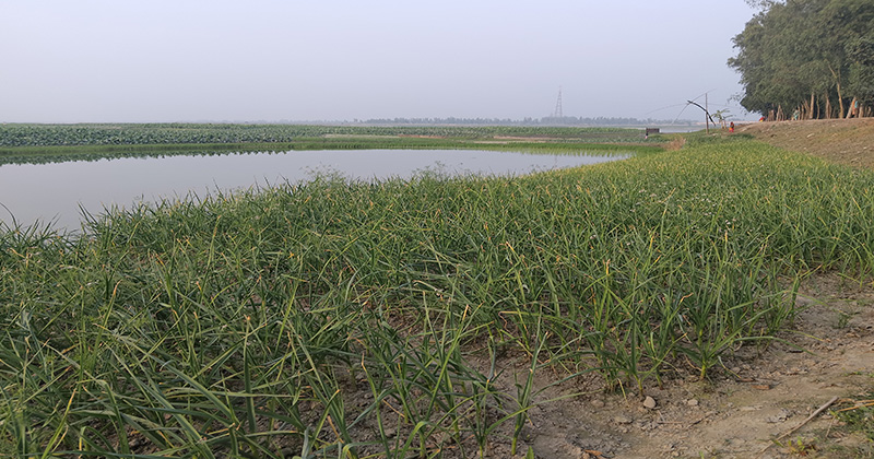 ছবি: প্রতিনিধি