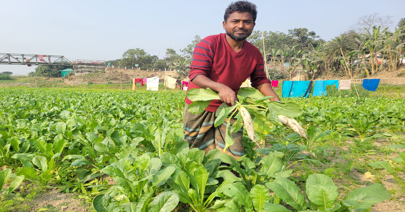 ছবি: প্রতিনিধি