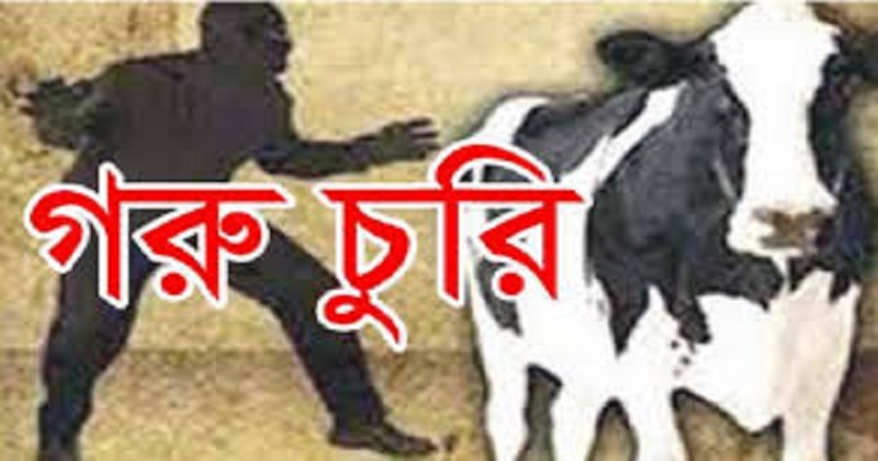 প্রতীকী ছবি