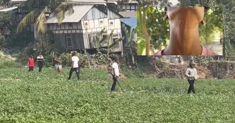 ছবি: প্রতিনিধি