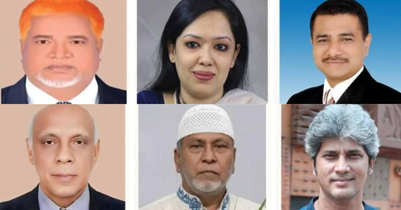ব্রাহ্মণবাড়িয়ায় ছয়টির পাঁচটিতে বিএনপি জোটের জয়, একটিতে স্বতন্ত্র