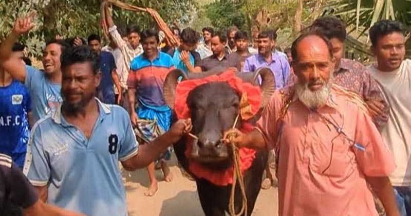 ছবি: প্রতিনিধি