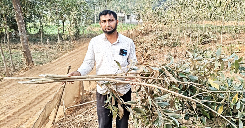 ছবি: প্রতিনিধি