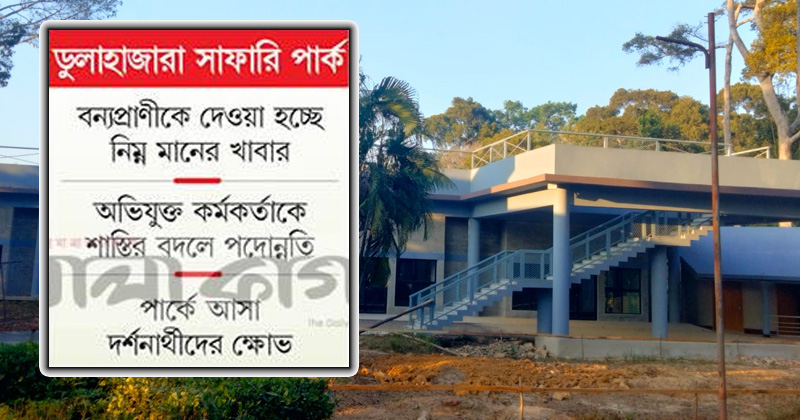 ছবি : খোলা কাগজ