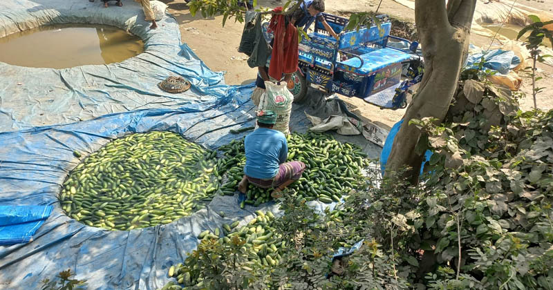 ছবি: প্রতিনিধি