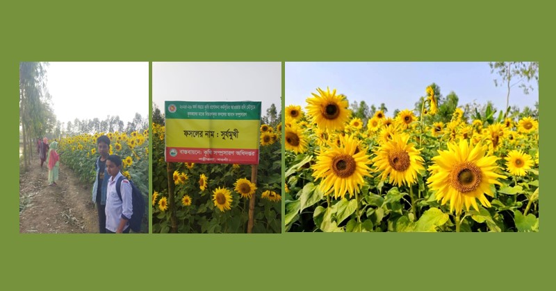 ছবি: প্রতিনিধি