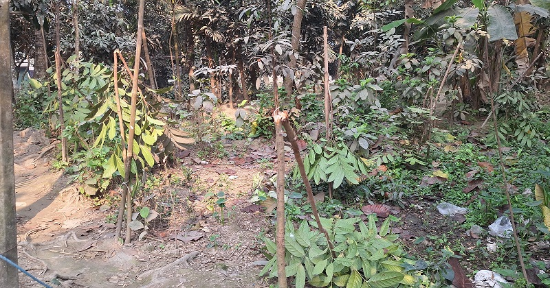 ছবি: প্রতিনিধি