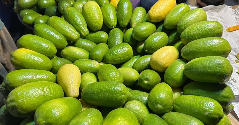 ছবি: খোলা কাগজ