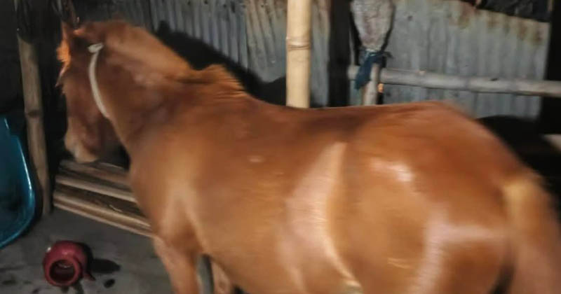 ছবি: প্রতিনিধি