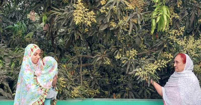 ছবি: খোলা কাগজ 