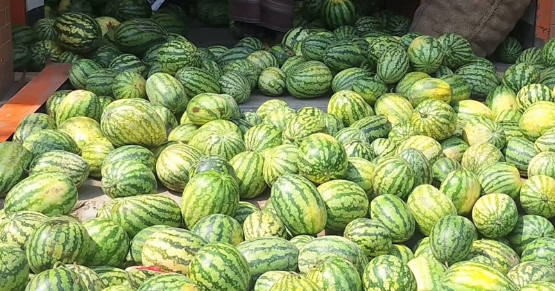 ছবি: প্রতিনিধি