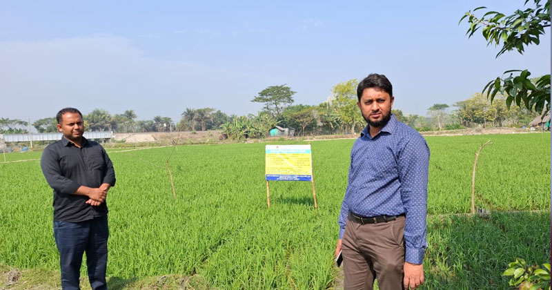 ছবি: প্রতিনিধি
