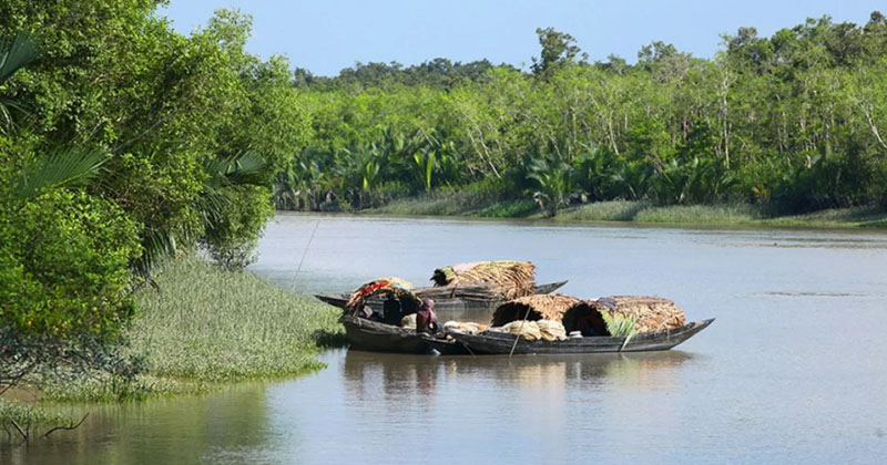 ফাইল ছবি