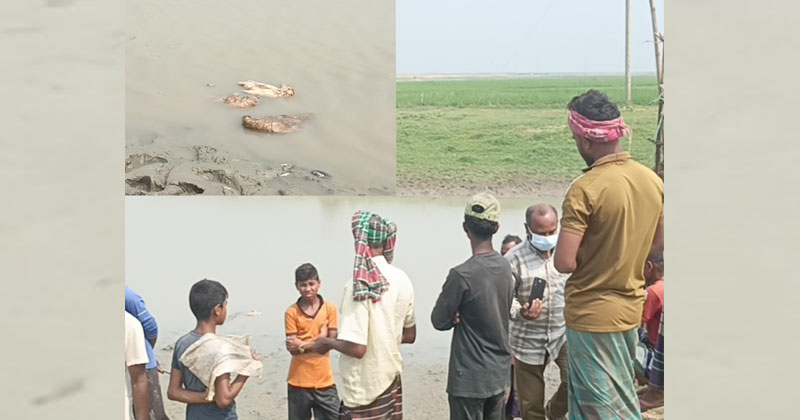 ছবি: প্রতিনিধি