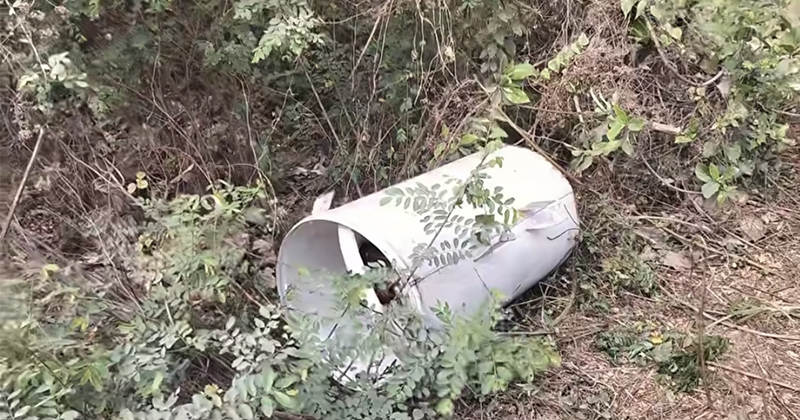 ছবি: প্রতিনিধি