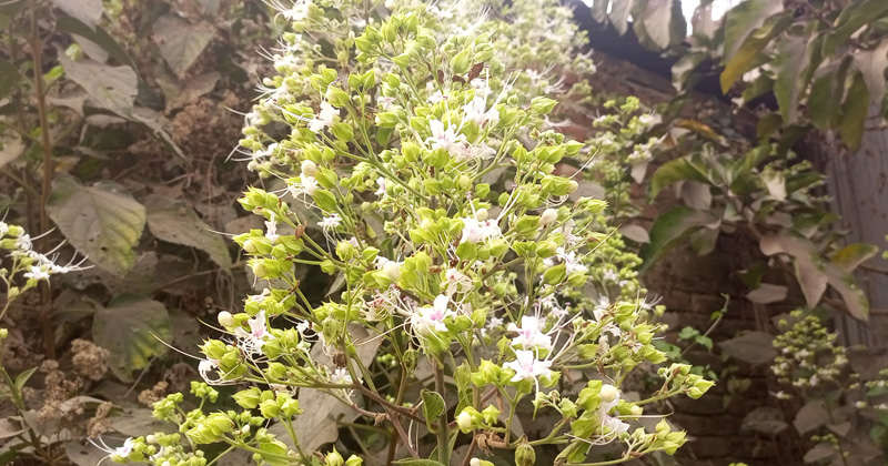 ছবি: প্রতিনিধি