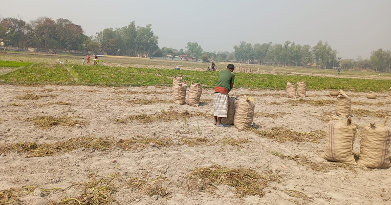 ছবি: প্রতিনিধি