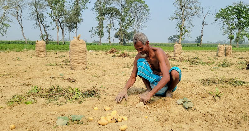 ছবি: খোলা কাগজ 