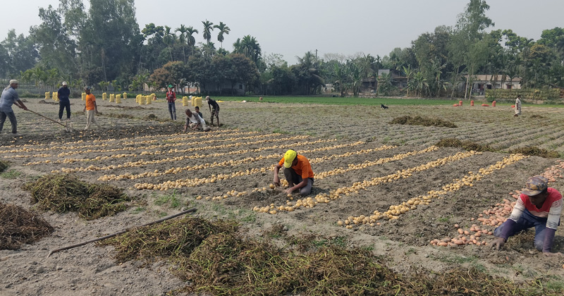 ছবি: প্রতিনিধি
