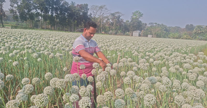 ছবি: প্রতিনিধি