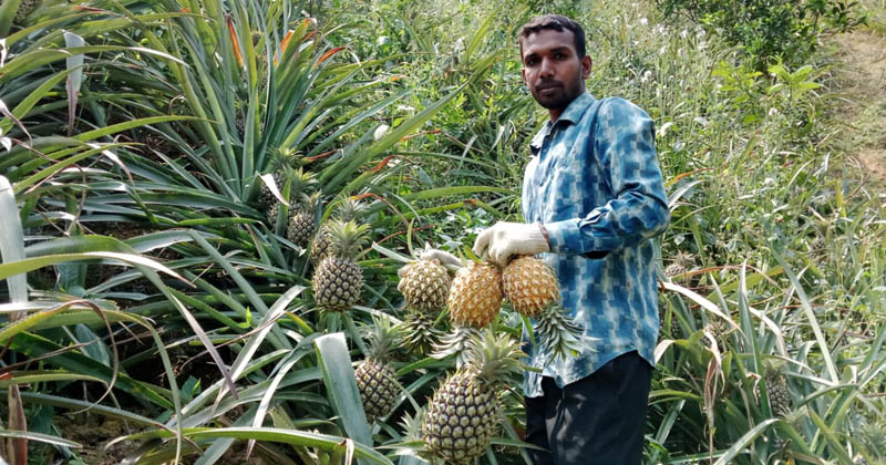 ছবি: খোলা কাগজ 
