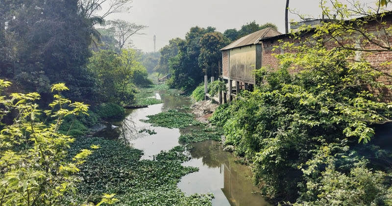 ছবি: প্রতিনিধি