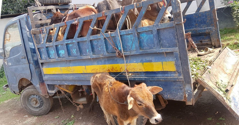 ছবি: প্রতিনিধি